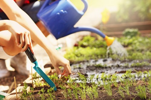 Professionals trimming hedges in a Newham garden