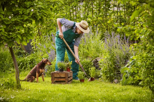 Gardener Newham team at work in a back garden