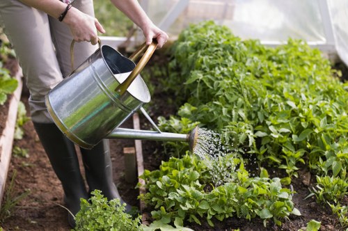 Photo of a gardener explaining plant care to an elderly resident in Newham