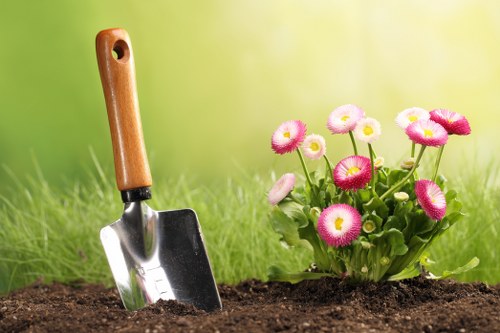 Pruning and trimming garden plants
