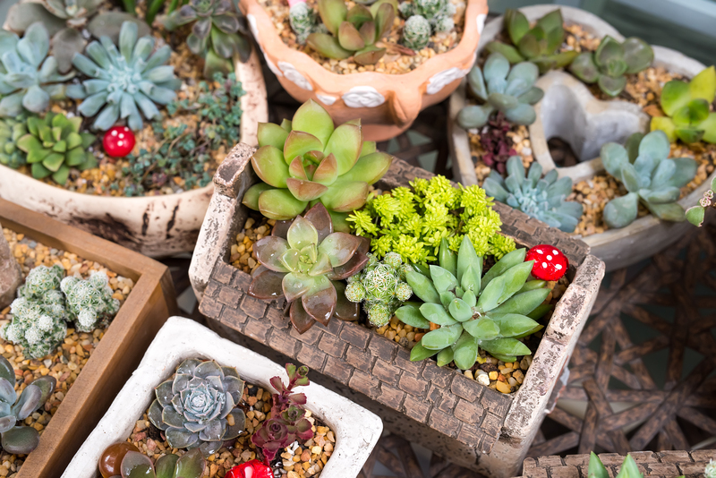 landscape design Garden